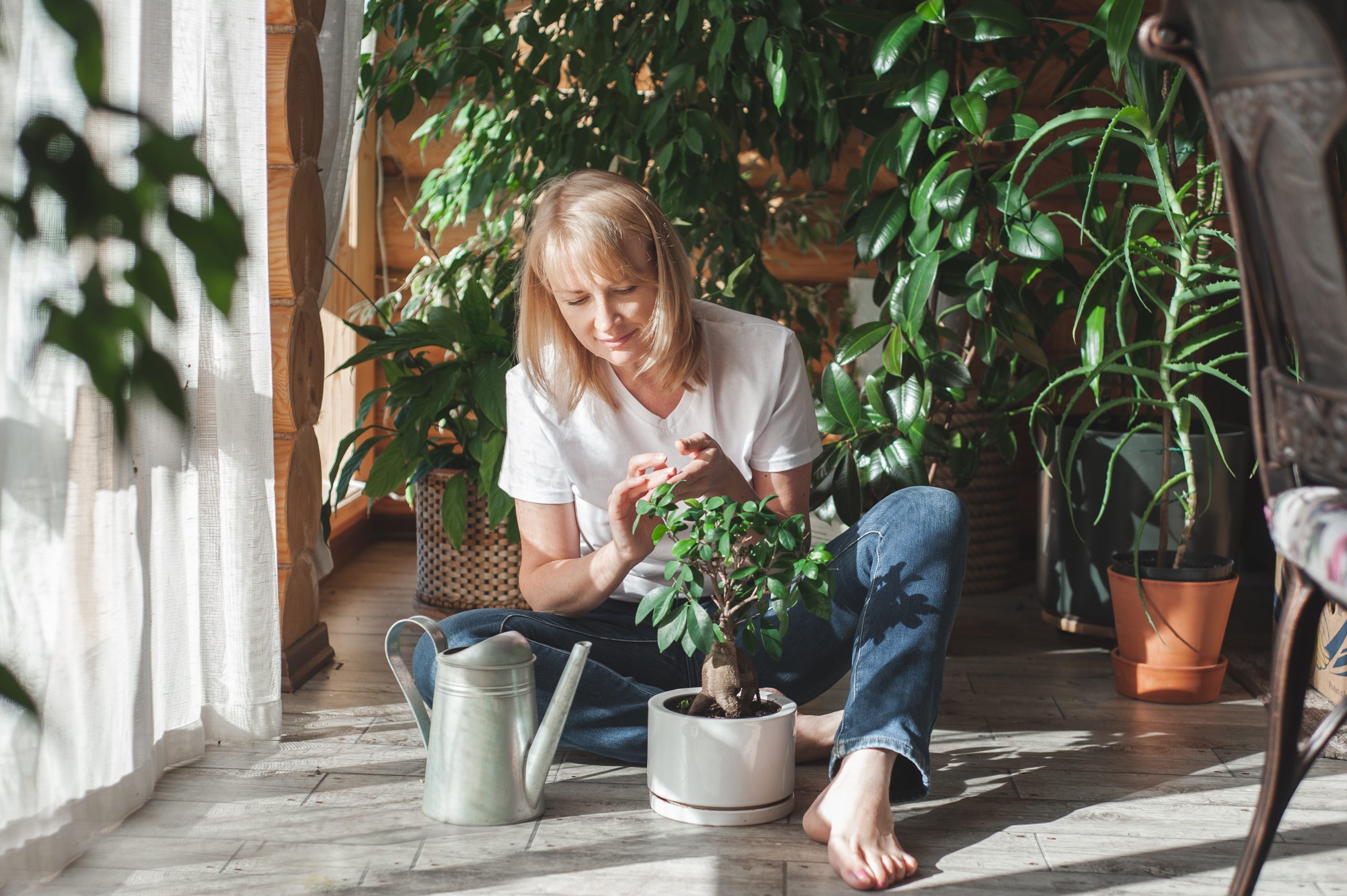 8 Dicas Para Cuidar Das Plantas No Inverno Agrimar